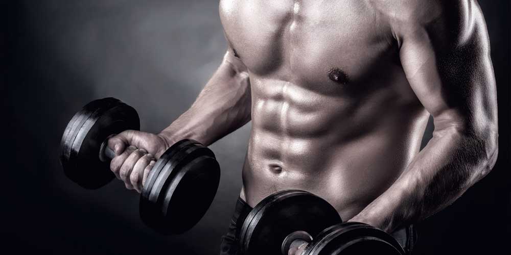 Treino de bíceps: 6 melhores exercícios para bíceps [2021]